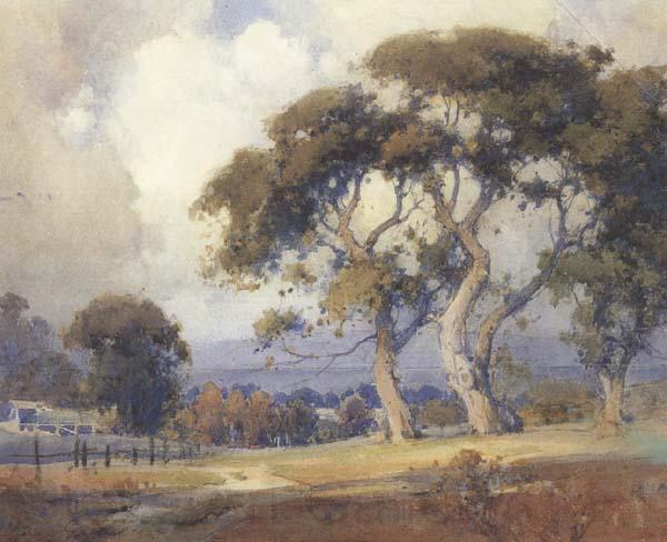 unknow artist Oaks in a California Landscape Norge oil painting art
